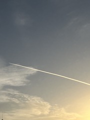 F60D4838-B0B0-4E73-A606-A7A888D05B78/L0/001