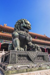 寰宇昌盛-大养分厂-张绍毅