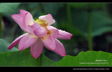 DSC_4107.jpg
