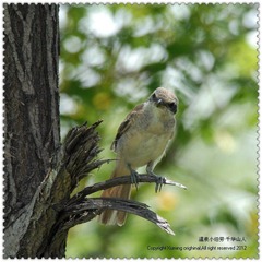 DSC_3903.jpg