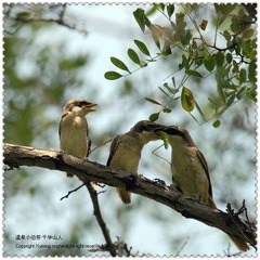 DSC_3925F.jpg