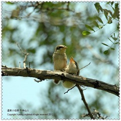 DSC_3981F.jpg