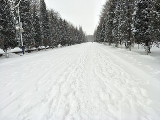 4E1A2E77-4E02-42DE-9105-48B778C3B317/L0/001