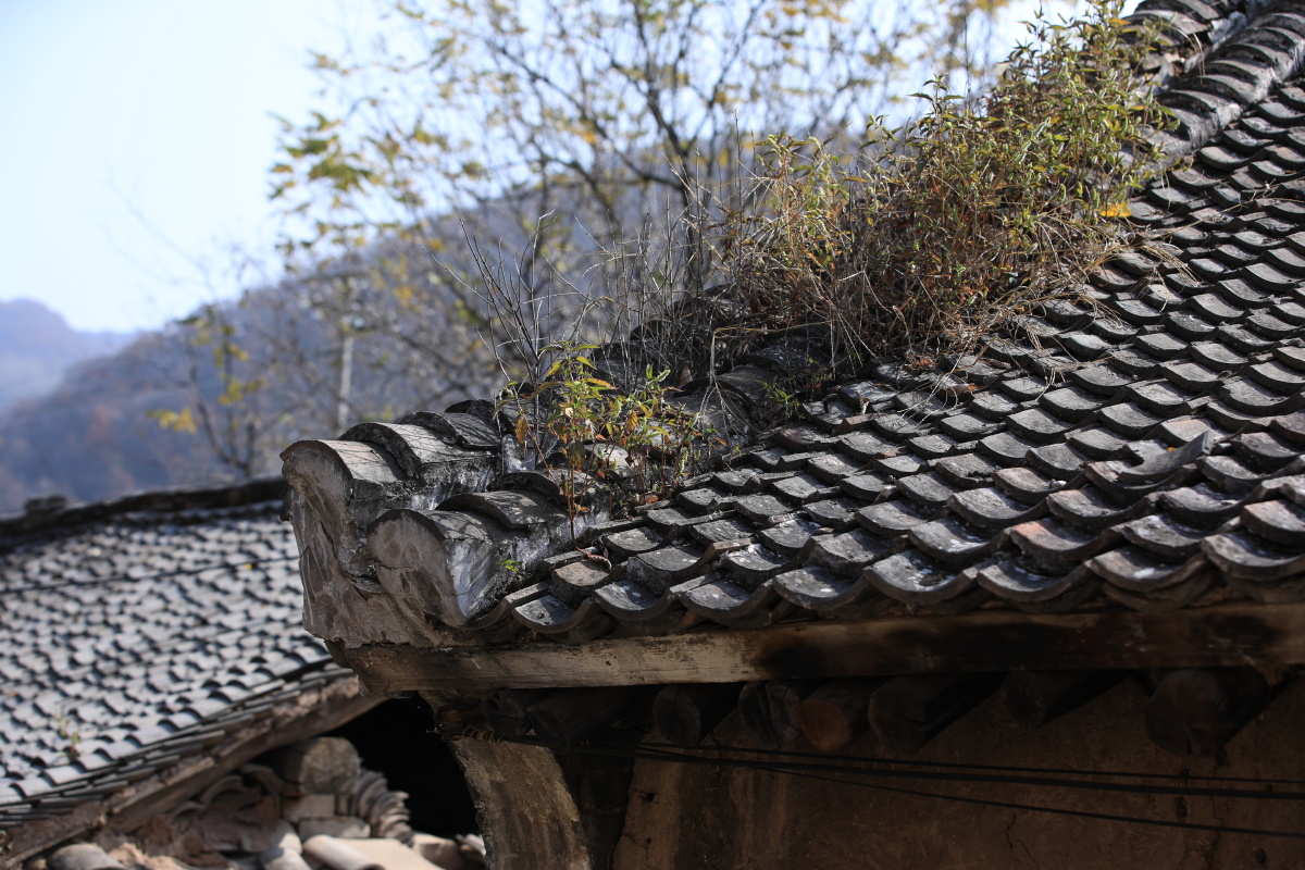 山村老屋