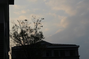 DB1A37B4-2868-407D-9CF2-28425F803C15/L0/001