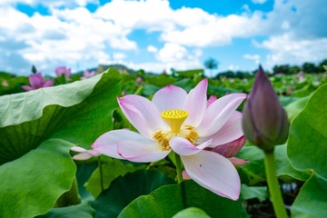 001