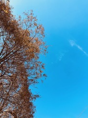 CC195E29-19DA-4C61-9EA9-FB5B883439F4/L0/001
