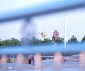 DSC_1319.jpg