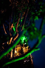 DSC_1377.jpg