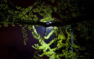 DSC_5056.jpg