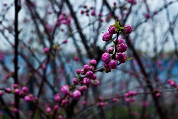 DSC_5062.jpg