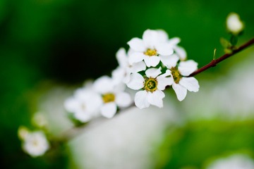 DSC_5076.jpg