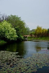 DSC_5080.jpg