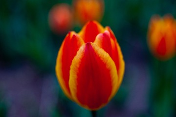 DSC_5105.jpg