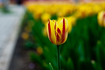DSC_5142.jpg