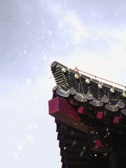1328902