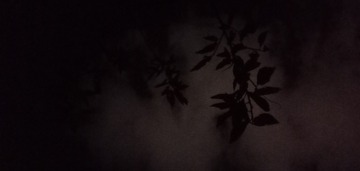 179041