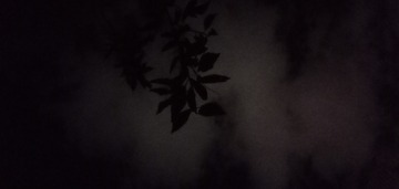 179042