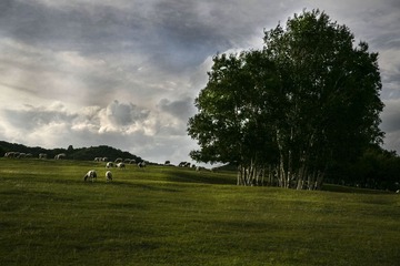 6N4A8452_3.jpg