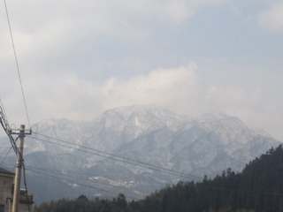 45603