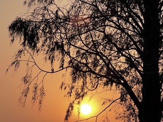 7B0A7D9A-674F-4996-AE8A-4FAA4C9DF12D/L0/001