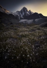 白日星河