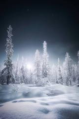 雪中松林