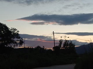 1461726
