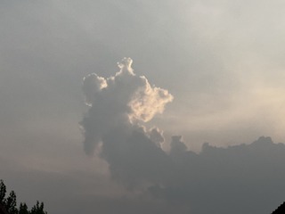 EAD1FF17-733A-46F8-A38A-4CCDC2690C7D/L0/001