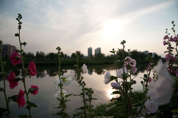 湿地公园河畔002