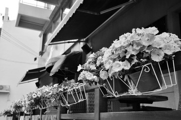 20110416-DSC_0245