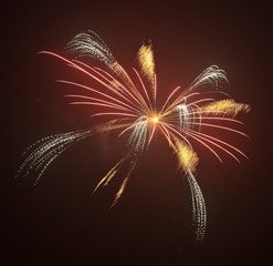 85E3353E-7EAE-4BE0-B059-CA22AC2CE94C/L0/001