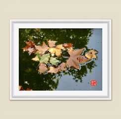 FC70B90B-7862-4CBD-9C16-F957A60E0064/L0/001
