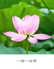 DSC_6151-编辑