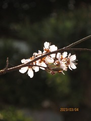 2F6F27EB-D0A7-4650-A7C1-27C5060D8E9E/L0/001