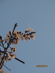 A4B7D6F4-02A0-4C40-B746-AF96F8CEAF90/L0/001