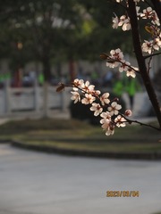 C3B0D92B-EA95-4B04-B13B-185F24B855FD/L0/001