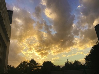 11D18011-6F1C-44D9-9E07-CC423DBC254D/L0/001
