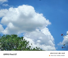 IMG20240721121159