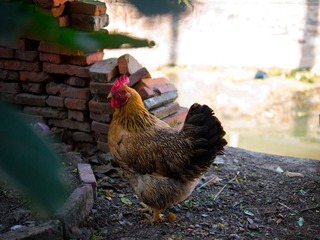 P1020773.jpg