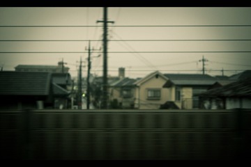 P1040140-编辑1.jpg