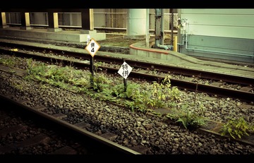 P1040297-编辑1.jpg