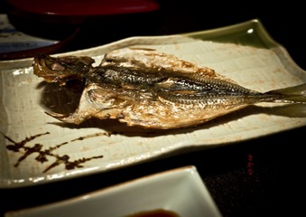 P1040180-编辑 拷贝.jpg