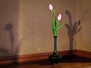 P1040211-编辑.jpg