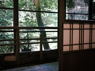P1040184-编辑.jpg