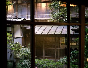 P1040203-编辑.jpg
