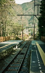P1040276-编辑.jpg