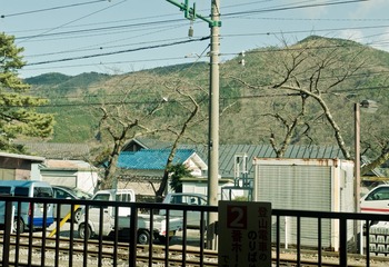 P1040282-编辑.jpg