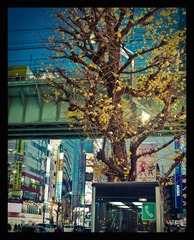 P1040534-编辑1.jpg