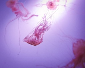 P1040413-编辑.jpg